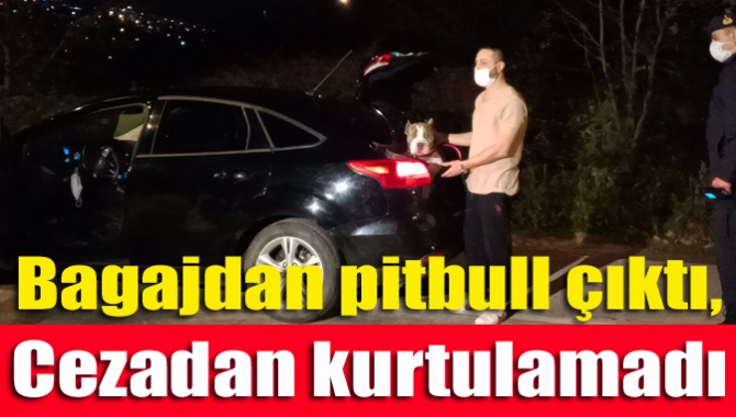 jandarma ekiplerince İzmit Kandıra  yolunda yapılan denetimde aracının bagajında