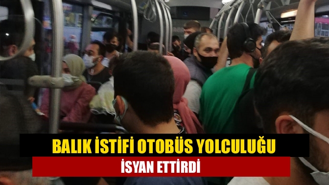 Kandıra-İzmit arasında çalışan hat 800 otobüsünün adeta balık istifi gibi