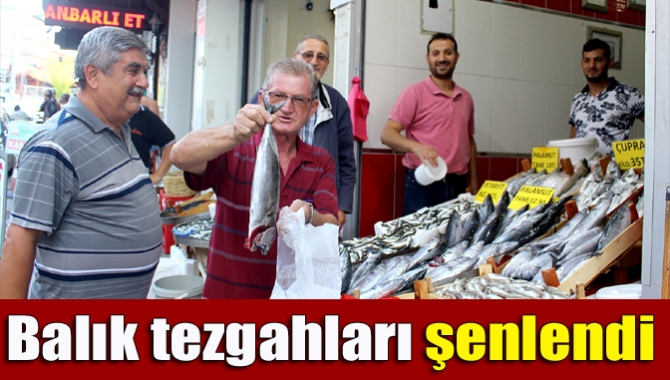 Kandıra’da av sezonunun açılmasıyla birlikte çeşit çeşit balıklar tezgâhları süslemeye