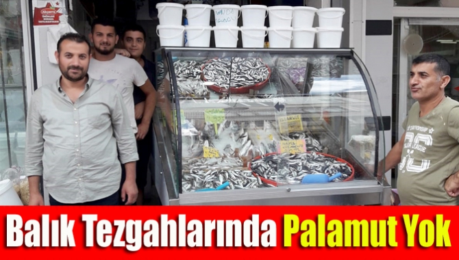 Kandıra’da av sezonunun açılmasıyla birlikte çeşit çeşit balıklar tezgâhları süslemeye