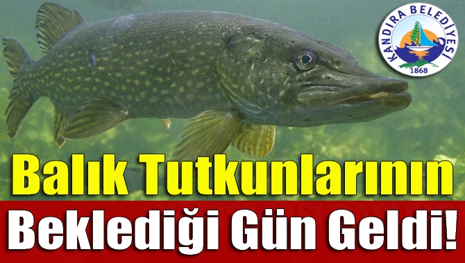 Kandıra Belediyesi, Gece Balıkçıları ve KAMADER tarafından 6-7 Mayıs tarihlerinde