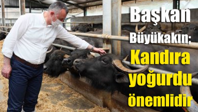 Gazeteci Cüneyt Özdemir’in yayınına konuk olan Kocaeli Büyükşehir Belediye Başkanı