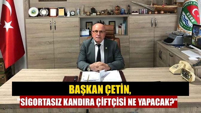 Şiddetli yağış Kandıra’da tarıma büyük darbe vurdu. İlçenin kırsal kesimlerinde