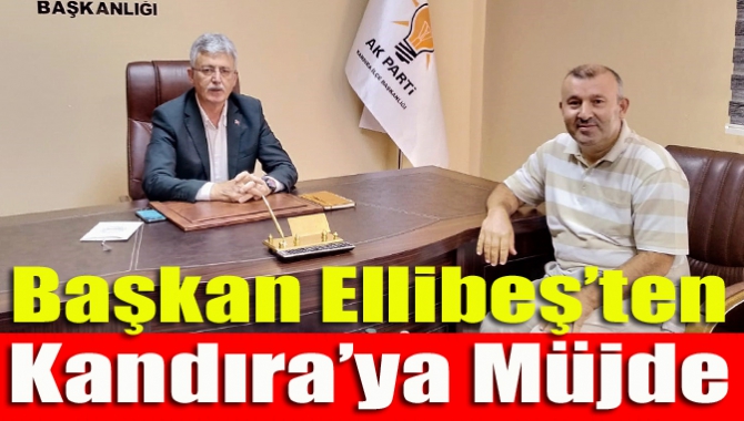 AK Parti Kocaeli İl Başkanı Mehmet Ellibeş, asker sayısının düştüğü