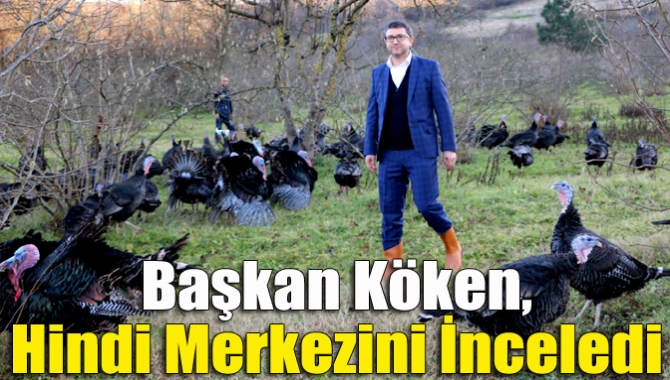 Yılbaşı sofralarının vazgeçilmezi olan Kandıra hindisinin ünü tüm Türkiye’ye yayılıyor.