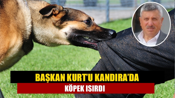 Kocaeli Minibüsçüler ve Otobüsçüler Odası Başkanı Mustafa Kurt’u, Kandıra’da evinin