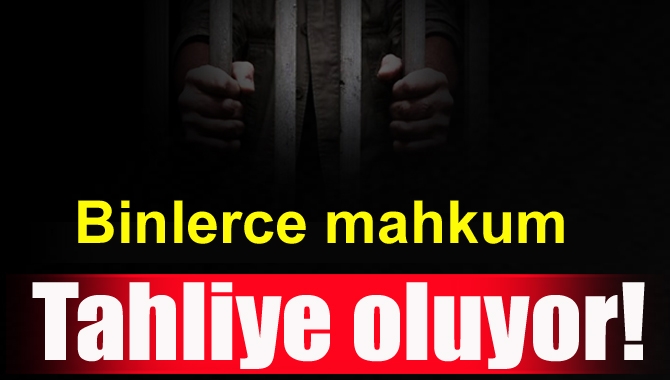 Denetimli Serbestlik kapsamında kapalı ve açık ceza infaz kurumlarından yaklaşık