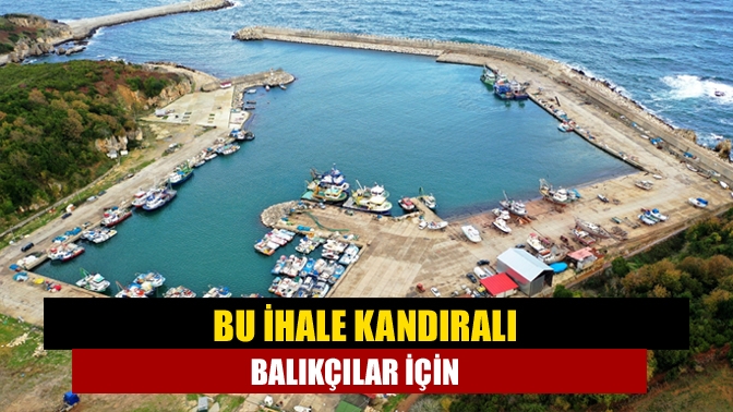 Kocaeli Büyükşehir Belediyesi, Bağırganlı limanında tadilat çalışması gerçekleştirecek. İşte detaylar