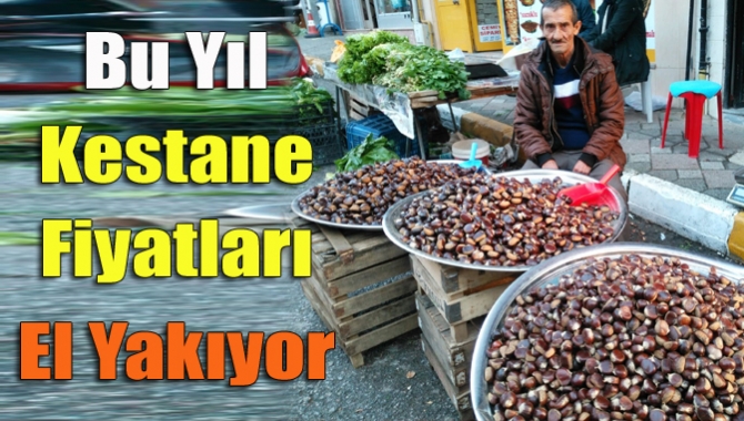Kış aylarının vazgeçilmez yiyeceklerinden biri olan kestanenin bu yıl ki