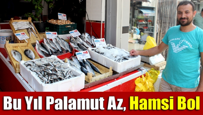 Yeni sezona kötü başlayan balıkçılar, bu sene palamutta hayal kırıklığı
