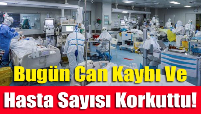 Sağlık Bakanı Fahrettin Koca 23 Kasım itibariyle koronavirüsten kaynaklı can