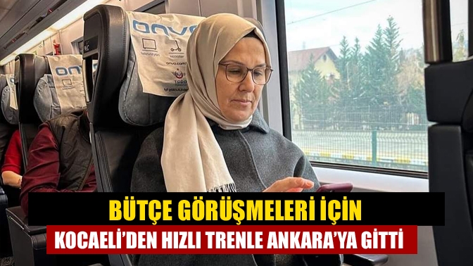 AK Parti Kocaeli Milletvekili Radiye Sezer Katırcıoğlu, Türkiye Büyük Millet
