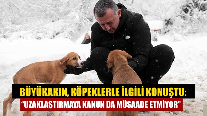 Büyükşehir Belediye Meclisi'nde İYİ Parti’nin sokak hayvanları konusunda verdiği önerge