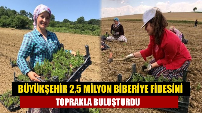 Büyükşehir Belediyesi, tarım ve hayvancılıkta gerçekleştirdiği kalkınma hamlesini, 2021 yılında