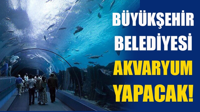 Kocaeli Büyükşehir Belediyesi, fuar alanı içinde çok büyük bir akvaryum