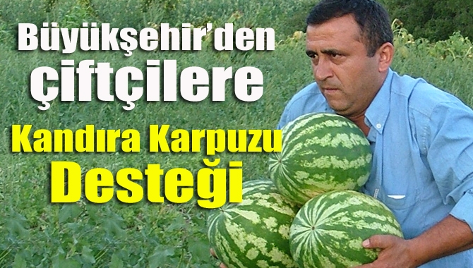 Büyükşehir Belediyesi 50 çiftçiye Kandıra karpuzu tohumu desteği sundu
