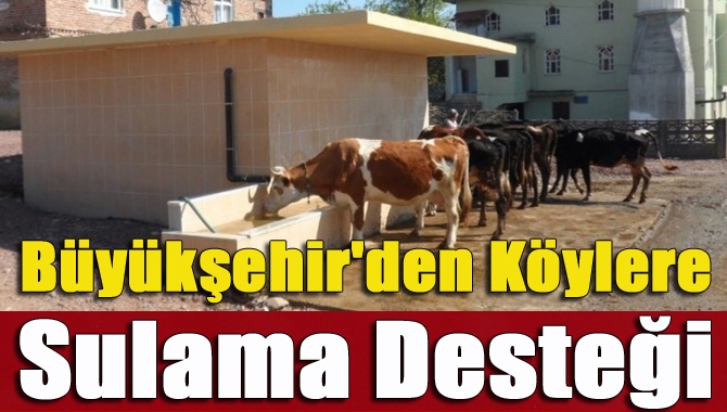 Şehir merkezinin yanı sıra, kırsal alanda da çalışmalarını sürdüren Kocaeli