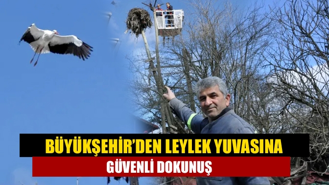 Büyükşehir, Kandıra Kocakaymaz Mahallesi’nde rüzgâr nedeniyle eğilen ve yıkılma tehlikesi
