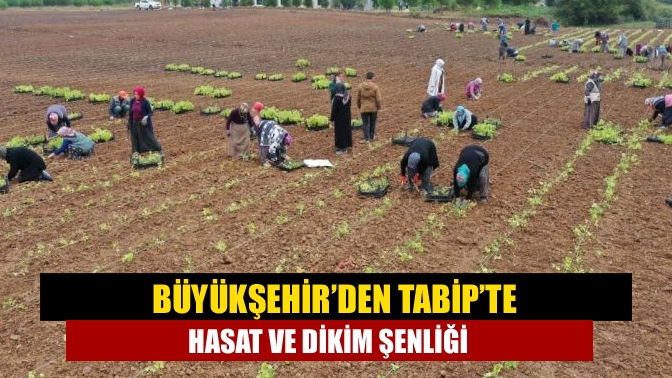 Büyükşehir’in Tıbbi ve Aromatik Bitki Yetiştiriciliği Projesi kapsamında tıbbi nane