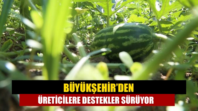 Büyükşehir, “Alternatif Ürün Yetiştiriciliğini Destekleme Projesi” kapsamında üreticilere yüzde 50