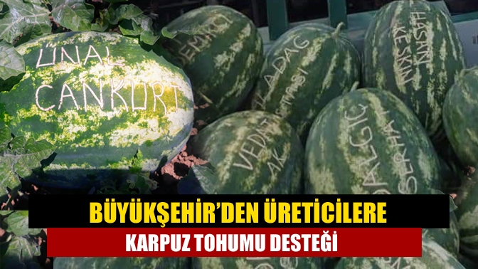 Büyükşehir Belediyesi, üreticilere yüzde 50 hibeli sertifikalı hibrit karpuz tohumu