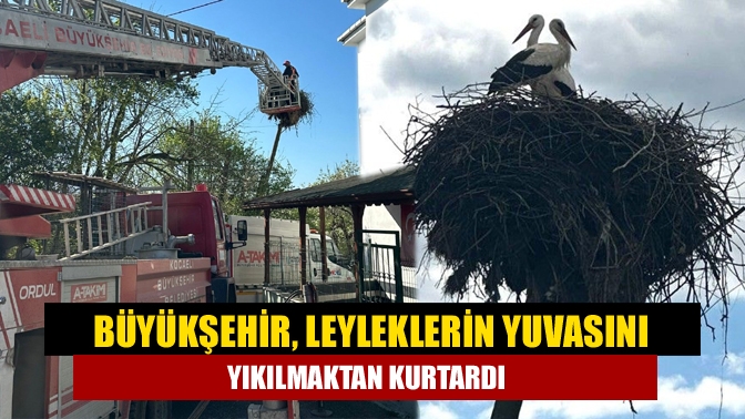 Büyükşehir ekipleri, Kandıra Kocakaymaz Mahallesi’nde rüzgâr nedeniyle yıkılma tehlikesi olan