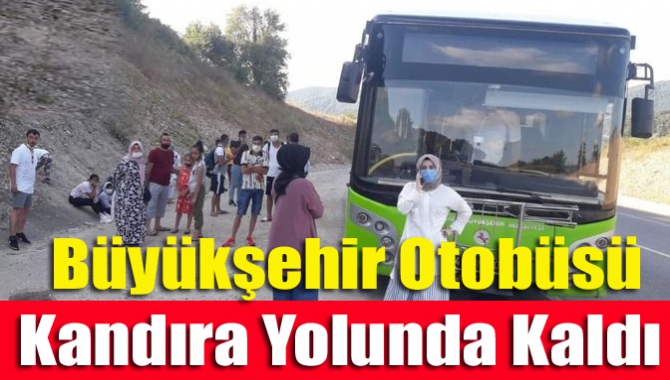 Kandıra sahilleri ile İzmit arasında sefer yapan Büyükşehir'e ait halk