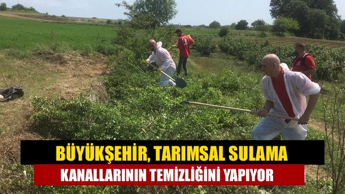 Büyükşehir Belediyesi Muhtarlık İşleri Dairesi Başkanlığı ekipleri tarafından, tarım arazilerinin