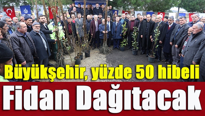 Kocaeli Büyükşehir Belediyesi, çiftçiye yönelik sürdürdüğü yüzde 50 hibeli ceviz