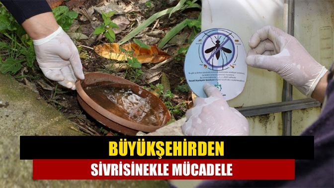 Kocaeli Büyükşehir Belediyesi, vatandaşların rahat bir yaz mevsimi geçirebilmesi amacıyla