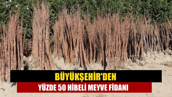 Kocaeli Büyükşehir Belediyesi, "Meyveciliği Geliştirme Projesi" kapsamında çiftçilere yüzde 50