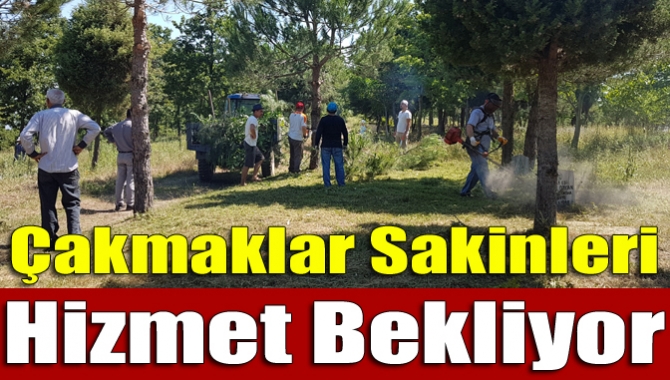 Kandıra Çakmaklar Mahallesi’nin mezarlığında temizlik çalışması yapan mahalle sakinleri, mezarlıktaki