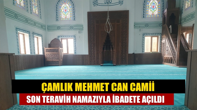 Kandıra Çarşı Mahallesi Gurbetçiler Caddesi'nde, Mehmet Can'ın adı verilen Çamlık