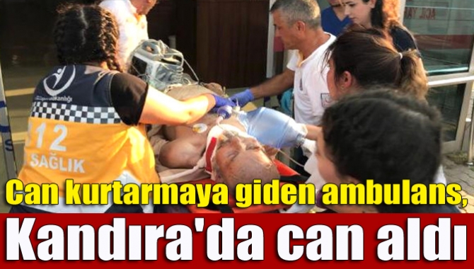 Kandıra İlçesi'nde ambulans, tarladan aniden yola çıkan 77 yaşındaki Sami