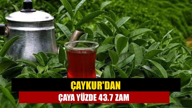 Çaykur, çaya ortalama yüzde 43.71 zam yaptı