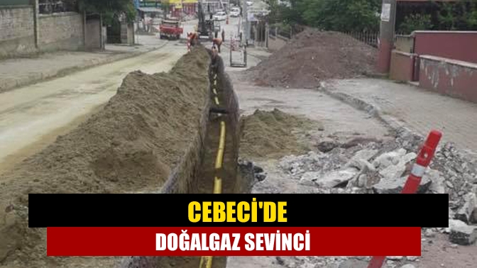 Uzun süredir köylerine doğalgazın gelmesini bekleyen Cebeci halkının bu isteği