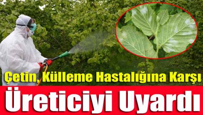 Kandıra Ziraat Odası Başkanı Erdal Çetin, fındık ağaçlarında gözlenen külleme