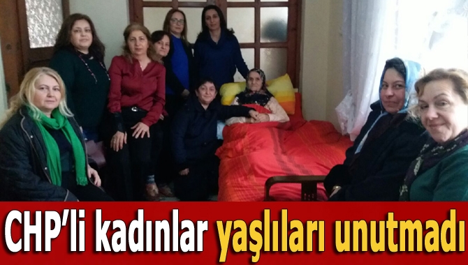 CHP İl Kadın Kolları Başkanı Songül Kaya, İlçe Kadın Kolları