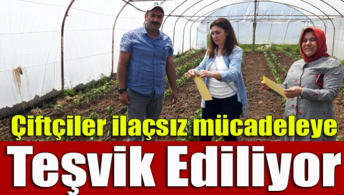 Büyükşehir Belediyesi, çiftçileri bitki zararlılarını bertaraf etmek için kimyasal ilaçlar