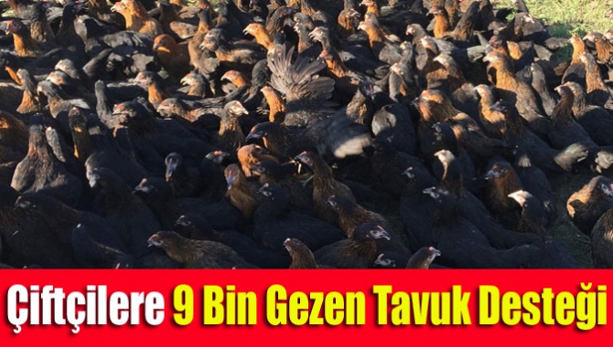 Kocaeli Büyükşehir Belediyesi tarafından 1 yılda çiftçilere yüzde elli hibe