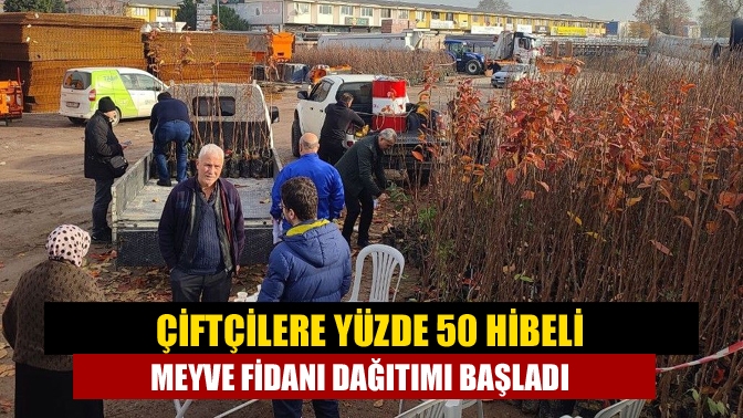 Kocaeli'de "Meyveciliği Geliştirme Projesi" kapsamında üreticilere yüzde 50 hibeli Trabzon