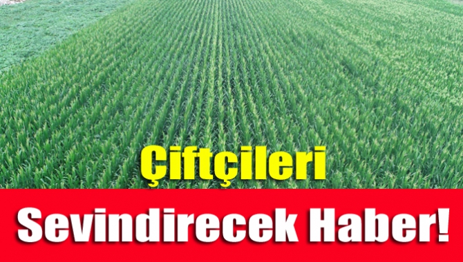 “Tıbbi ve Aromatik Bitkiler Üretim Teşviği” projesi için çiftçilerden başvurular