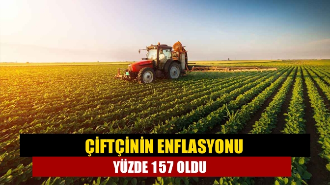 Tarım ürünleri üretici fiyat endeksi (Tarım-ÜFE) aylık yüzde 5, yıllık