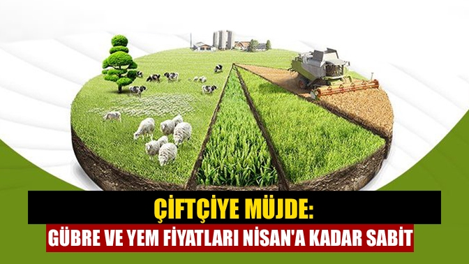Cumhurbaşkanı Recep Tayyip Erdoğan, kabine toplantısı sonrası önemli açıklamalarda bulundu