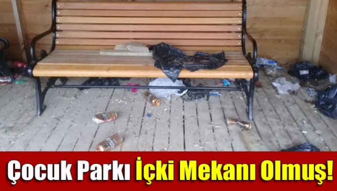 Kandıra Namazgah bölgesinde çocukların oyun oynadığı parkta bira şişelerinin ve