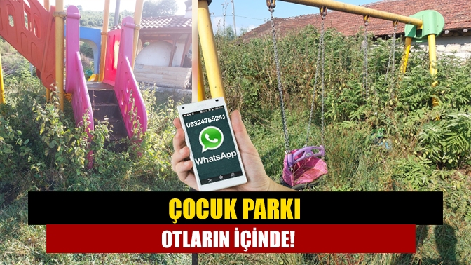 Kandıra Kızılcapınar Köyü’nde bulunan çocuk parkı çevresinde bakımsızlık nedeniye oluşan