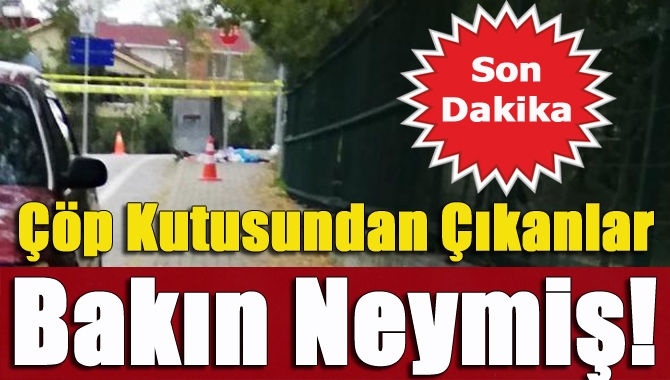 Kandıra İmam Hatip Lisesi karşısında bulunan çöp kutusunun içinden bir