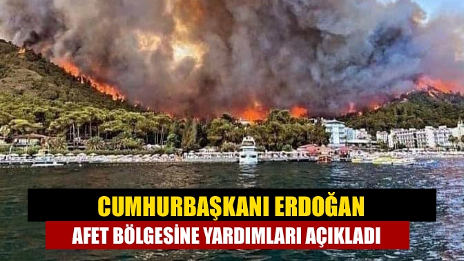Cumhurbaşkanı Erdoğan, orman yangınlarından etkilenen bölgeleri “Genel Hayata Etkili Afet