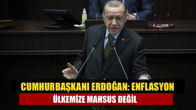 Cumhurbaşkanı Erdoğan, kurdaki yükselişten küresel emtia fiyatlarındaki aşırı artışların Türkiye'ye