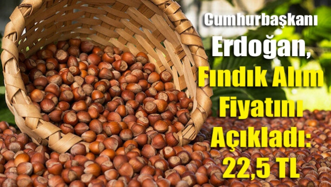 Kabine toplantısı sonrası konuşan Cumhurbaşkanı Erdoğan, Giresun kalite kabuklu fındık